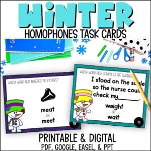 Winter Homophones Task Cards