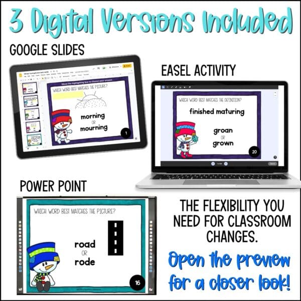 Winter Homophones Task Cards