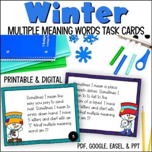 winter multiple meaning words task cards