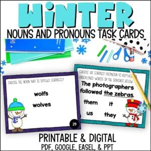 Winter Nouns and Pronouns Task Cards