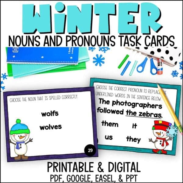 Winter Nouns and Pronouns Task Cards