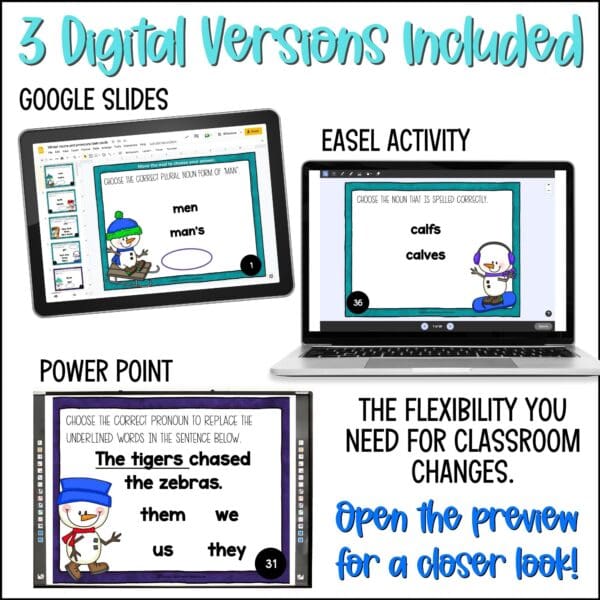 Winter Nouns and Pronouns Task Cards