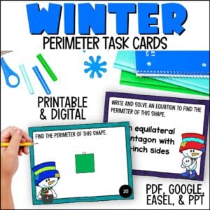 Winter Perimeter Task Cards