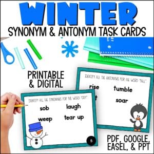 Winter Synonym and Antonym Task Cards