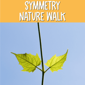 ideas for teaching symmetry in upper elementary