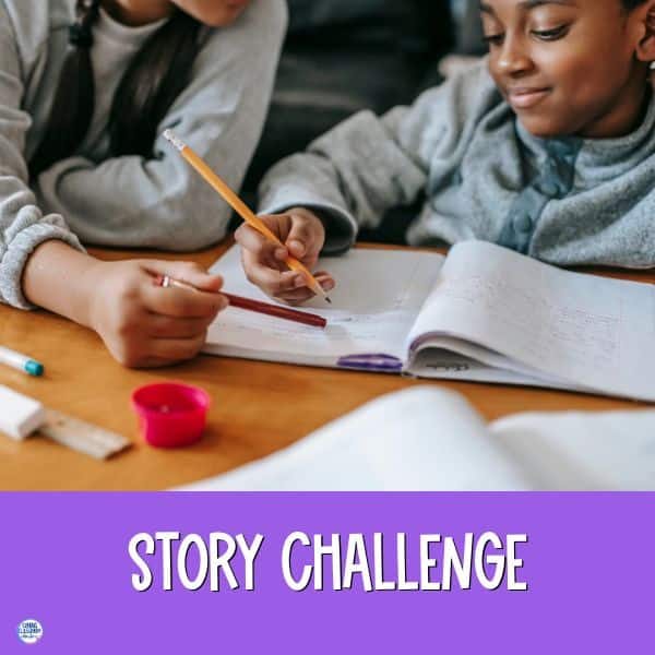 4 types of sentences story challenge