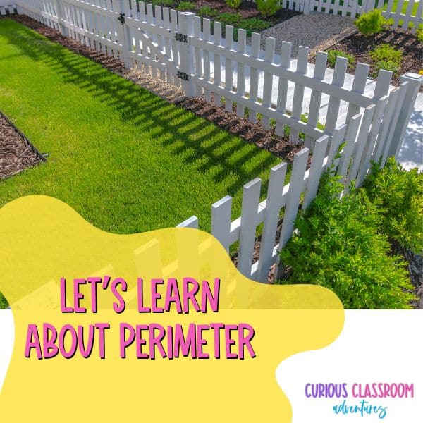 3rd and 4th grade perimeter lesson ideas