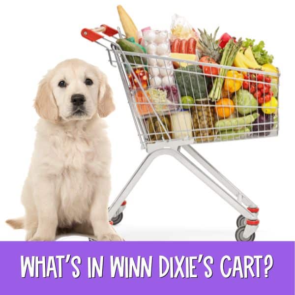 teaching because of winn dixie activities