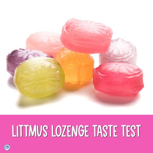 teaching because of winn dixie activities