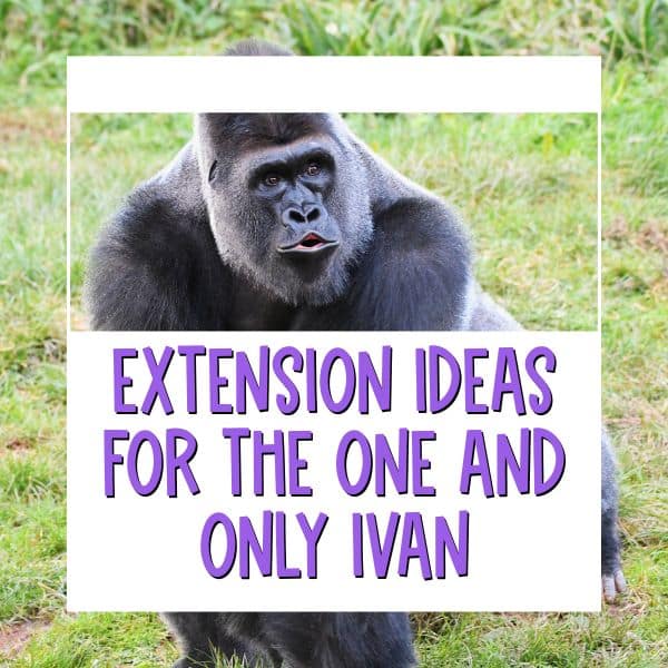 The One and Only Ivan extension activities
