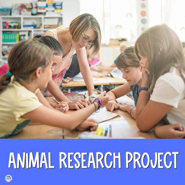 The One and Only Ivan extension activities