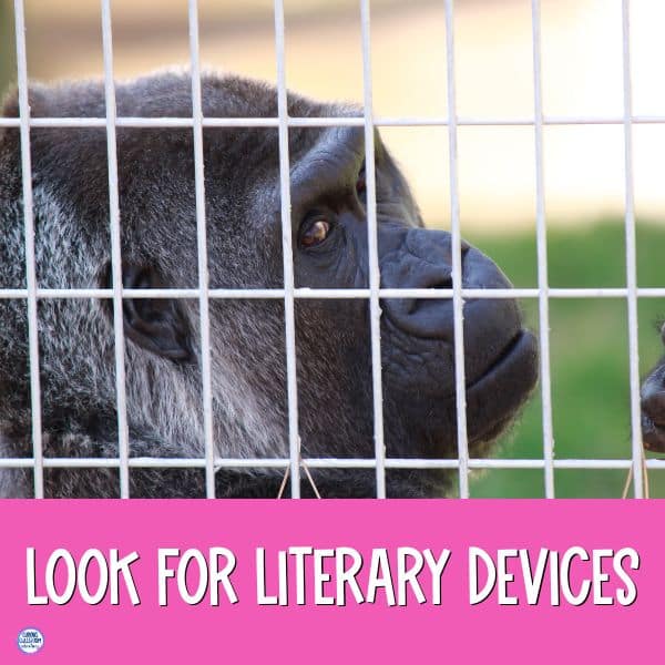 The One and Only Ivan extension activities