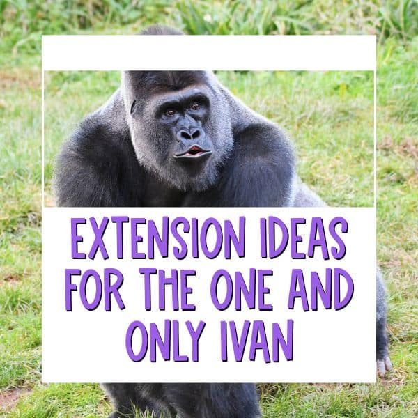 The One and Only Ivan extension activities