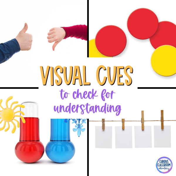 check for understanding with visual cues