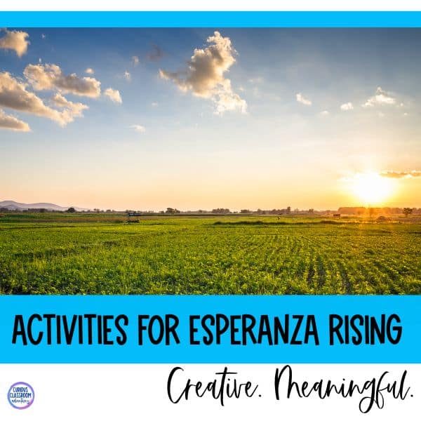 esperanza rising extension activities
