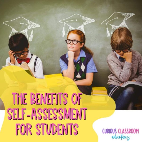 self assessment for students