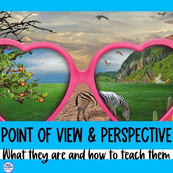 what is point of view vs perspective teacing ideas - 20
